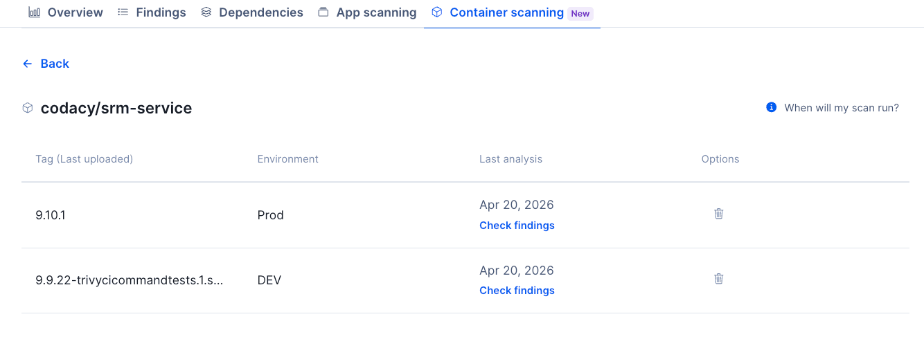 Security and risk management container image tags